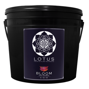 Lotus Bloom Series 14 Lbs