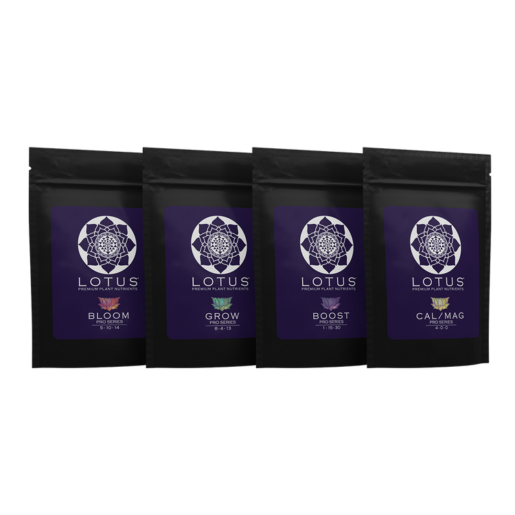 Cannabis Nutrients Complete 2025 Guide to NPK, Feeding & Deficiencies