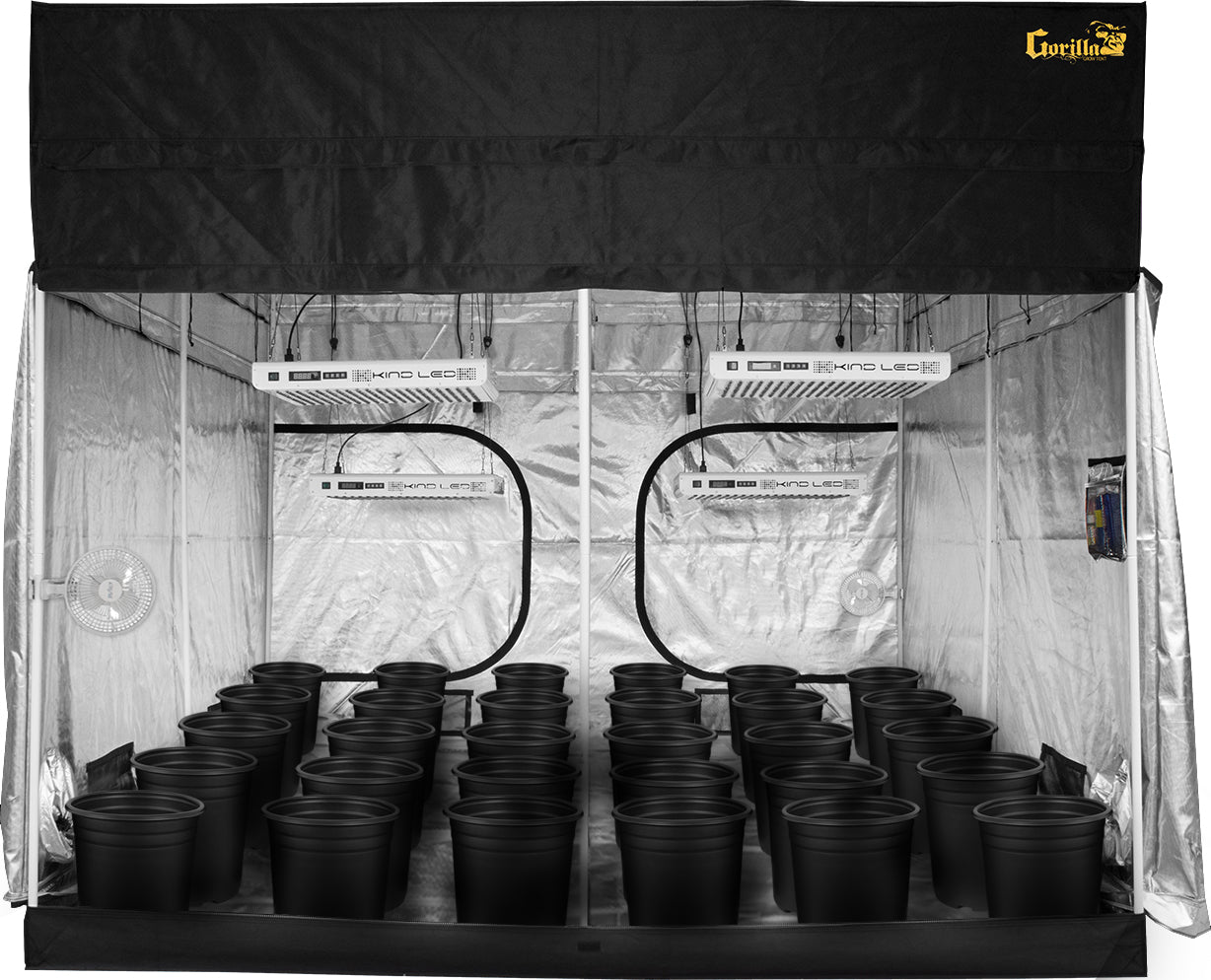 Everything You Need to Cannabis Growing Equipment