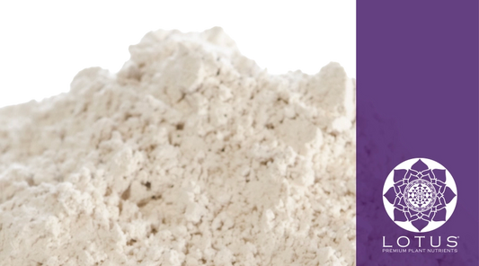 Benefits of Using Rock Powder for Your Cannabis Plants