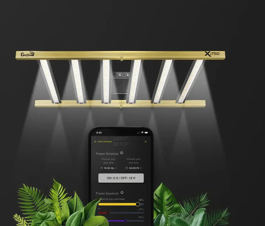 Best LED Grow Lights: Comprehensive Guide to Superior Indoor Growing