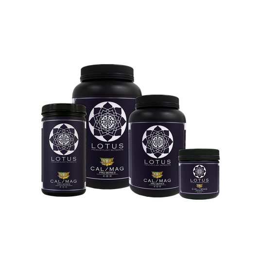 Best Cannabis Nutrients 2025