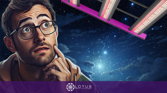 Can I leave LED grow lights on all night?