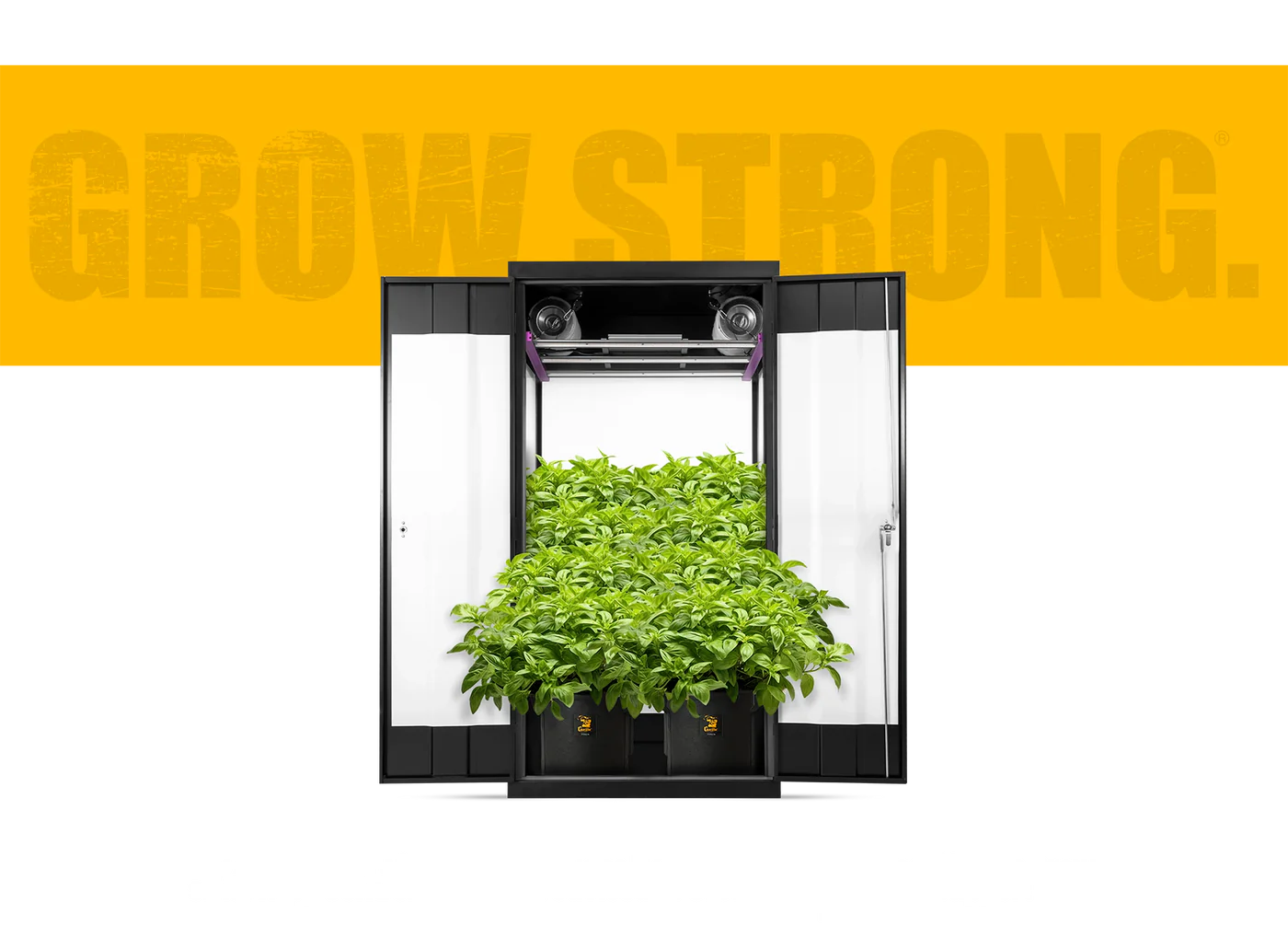 A sleek cannabis growing cabinet with built-in LED grow lights, carbon filters, and thriving cannabis plants growing in a hydroponic system.