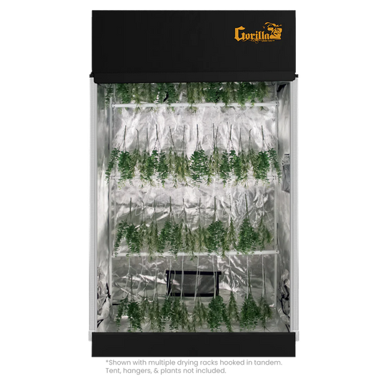 Efficient Cannabis Drying Racks: Essential for Quality Harvest