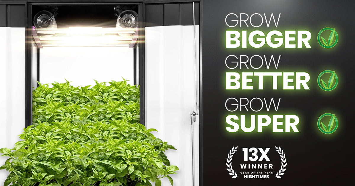 A well-lit Gorilla Grow Box with cannabis plants growing under full-spectrum LED lights, showcasing the perfect environment for indoor cultivation.