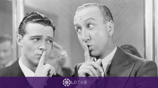 Noise Reduction in Grow Tents: Creating a Peaceful Growing Environment