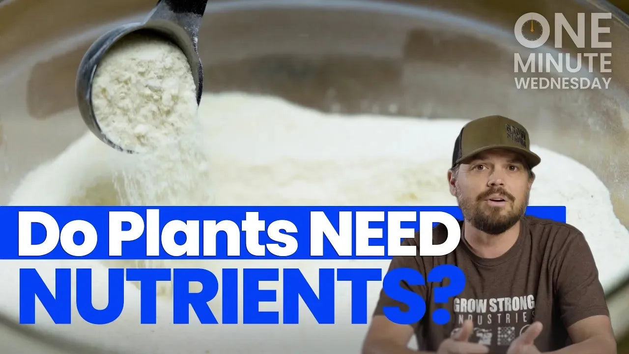 Nutrients for Cannabis Plants: A Comprehensive Guide