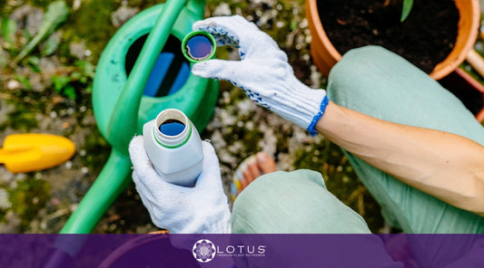 The Benefits of Using Liquid Fish Emulsion for Your Cannabis Plants