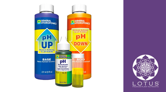 The Importance of pH Balance in Cannabis Plant Nutrition