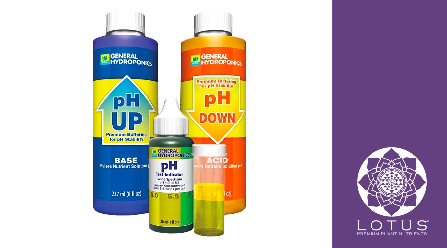 The Importance of pH Balance in Cannabis Plant Nutrition