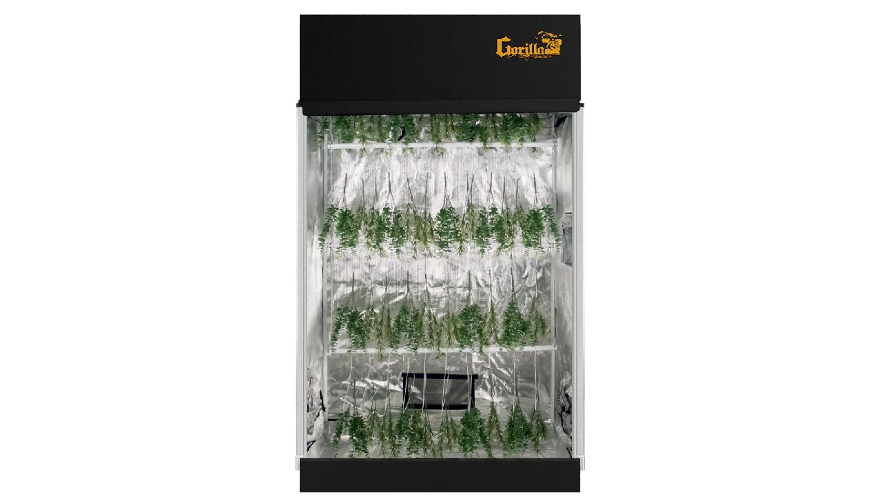 Cannabis Drying Tents: Benefits, Setup, and Best Practices