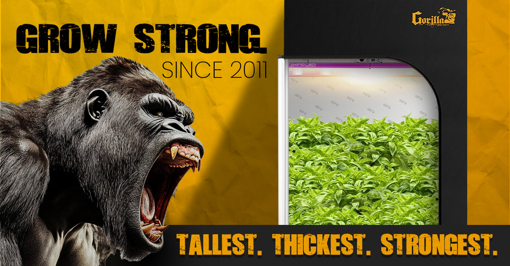 The Ultimate Plant with Grow Lights for Indoor Gardening