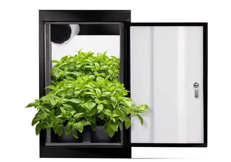 Grow Box Kit: Complete Indoor Gardening Setup