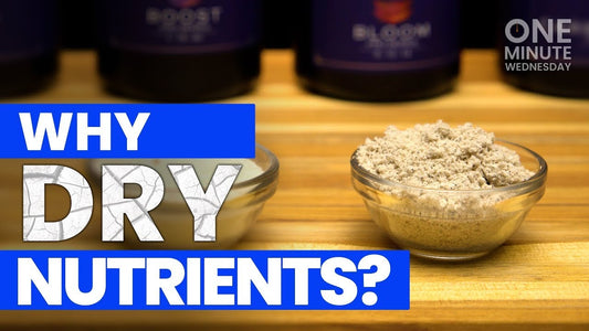 Plant Fertilizer: A Complete Guide to Choosing and Using the Best Fertilizer