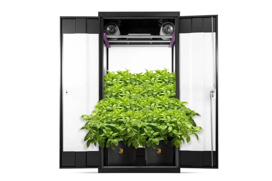 Weed Growing Kit: Start Your Home Cannabis Cultivation