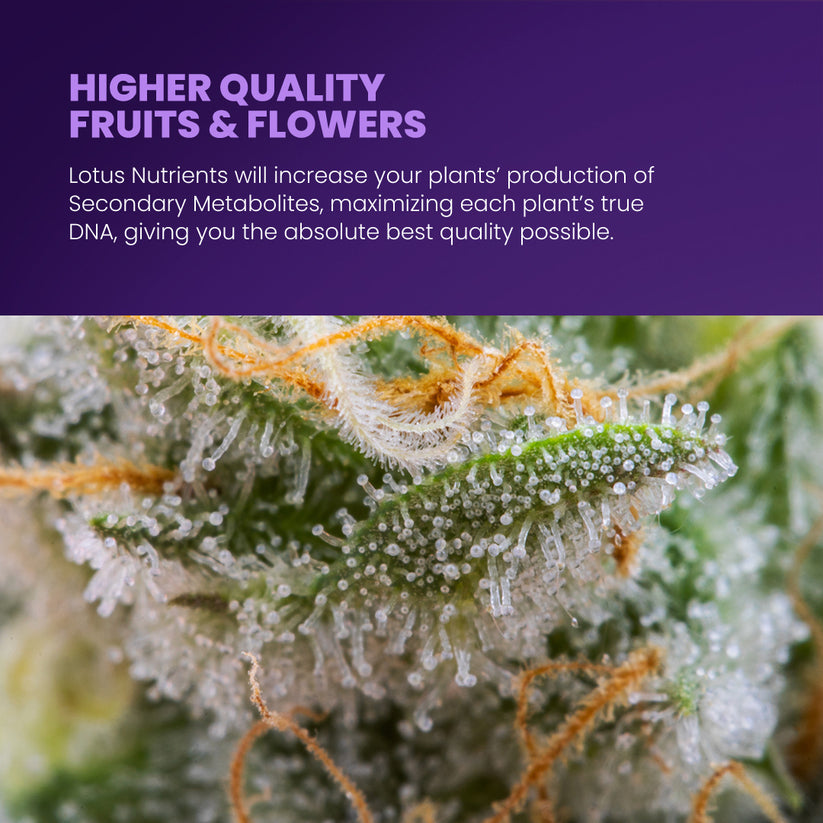 Lotus Nutrients Sample Pack, Free Plant Nutrient Samples 2022