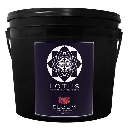 Lotus Bloom Series 14 Lbs