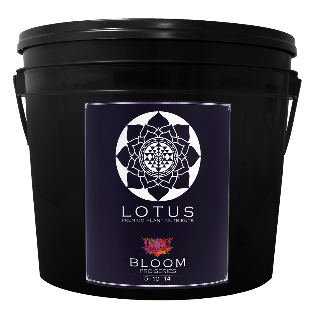 Lotus Bloom Series 14 Lbs
