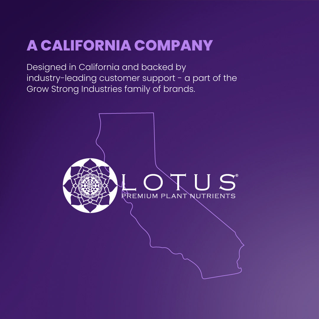 Lotus is the california company.